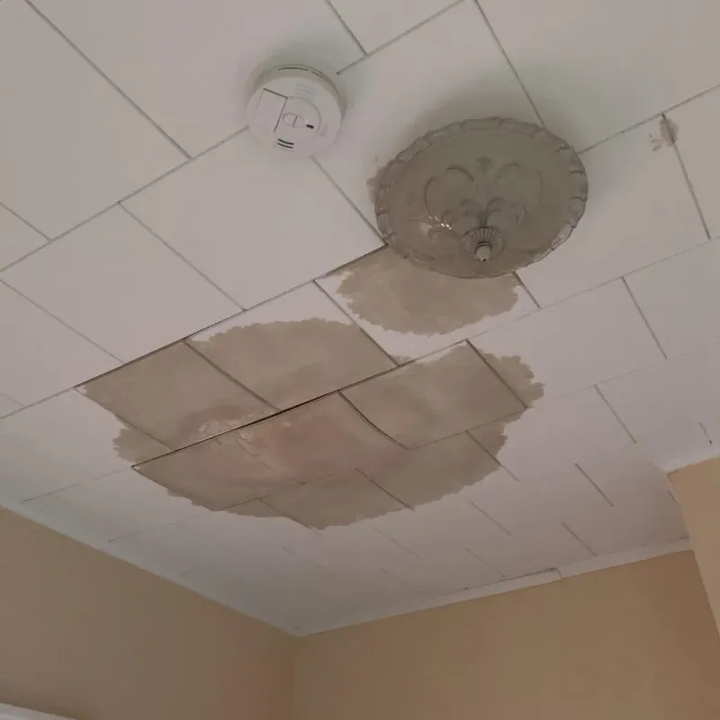 Ceiling Water Damage Repair in Newport East, RI