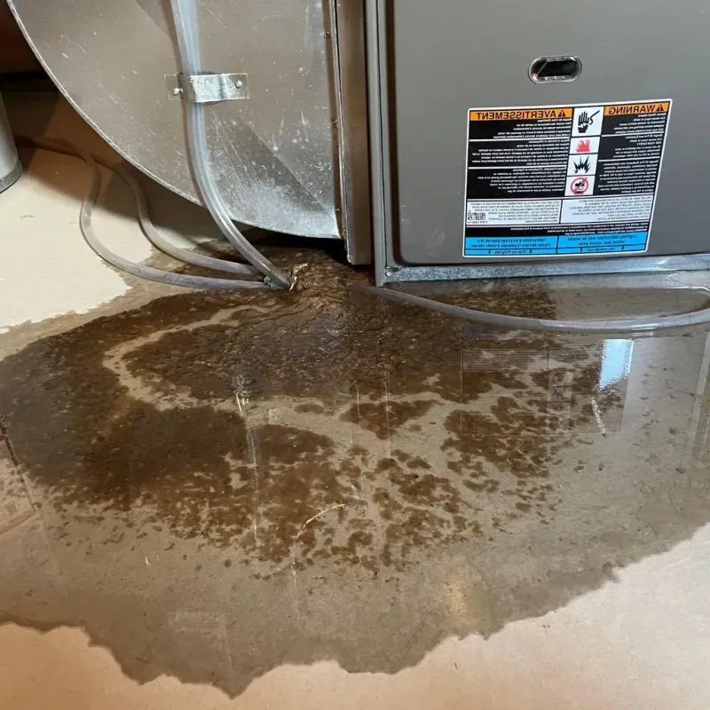 Pipe Burst and Leak Restoration in Newport East, RI