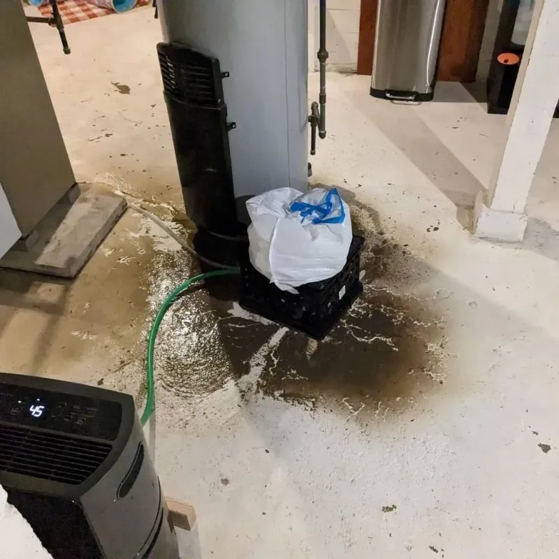 Sewage Backup Cleanup Service in Newport East, RI